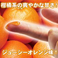 パッションキス ローション (オレンジ味)